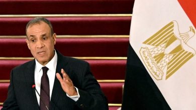 وزير الخارجية المصري بدر عبد العاطي - أرشيفية