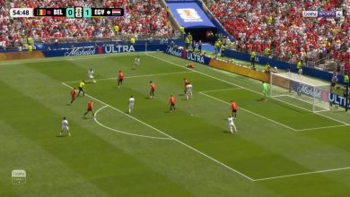أهداف مصر وبلجيكا